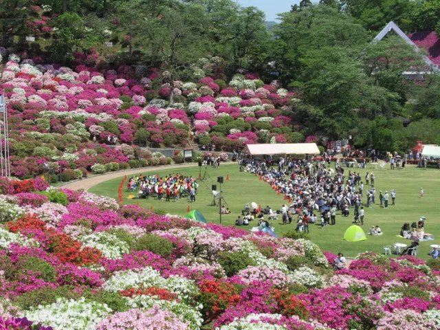 🏞️ 니시야마 공원 이미지 5